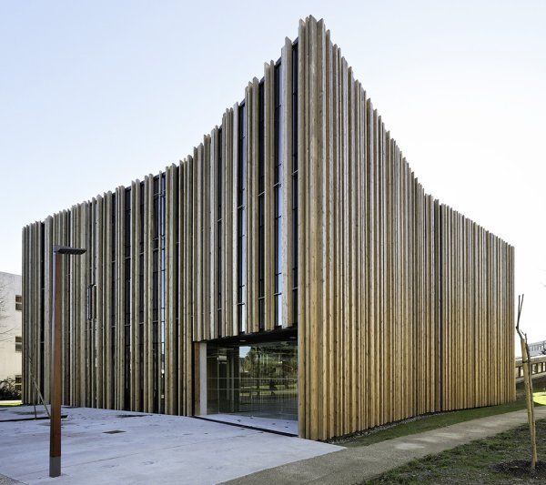 Institut universitaire